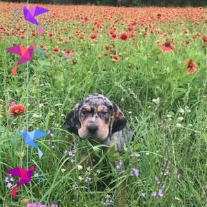 Meet your Posher, Edward